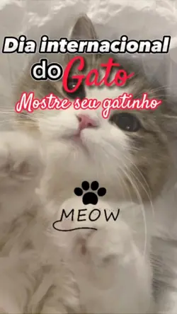 Dia do gato