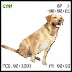 ️CAN U GET THE JOY-