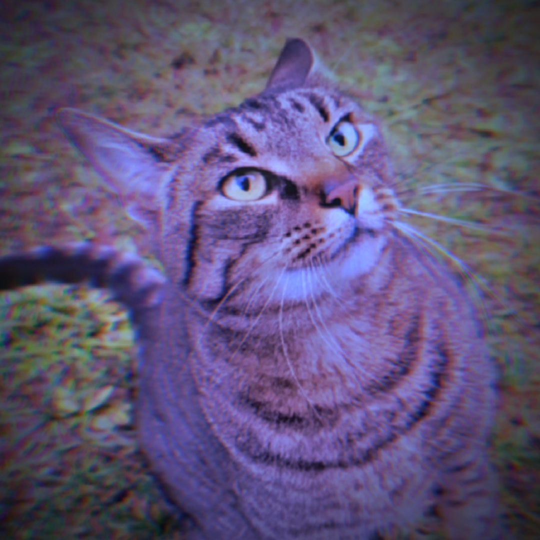 : 3