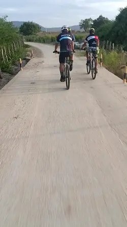 pedal 3