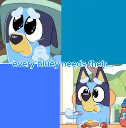 every bluey needs
