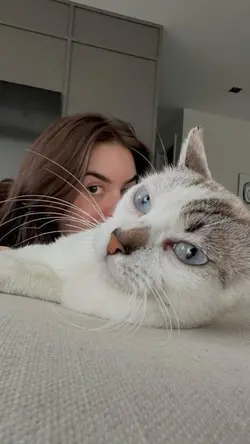 deseslove 