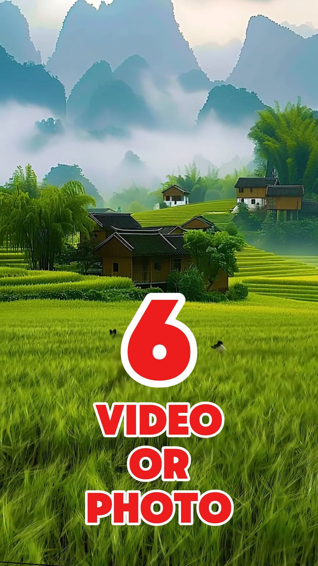 6 videos or photos 