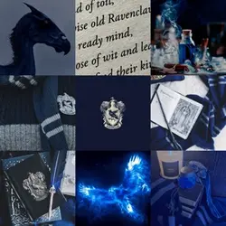 Ravenclaw 🪄 