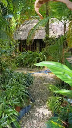 Dia na Fazenda 🥰🏆