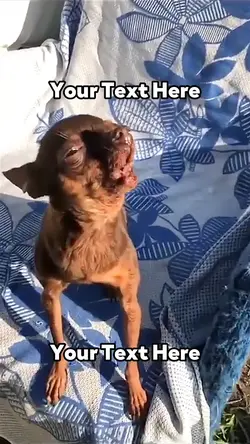 Who is the Doberman