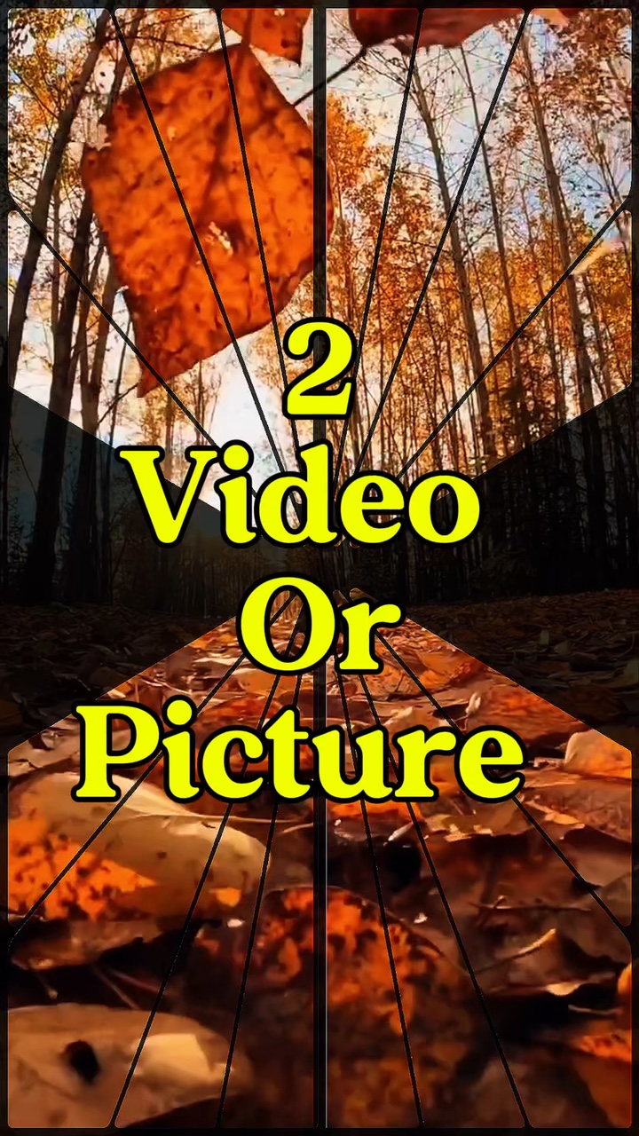 2 video picture