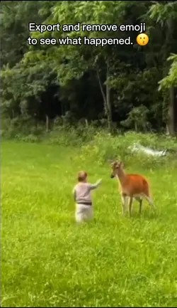 Deer Strike