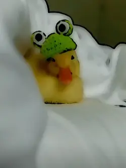 so cute 🙇‍♀️