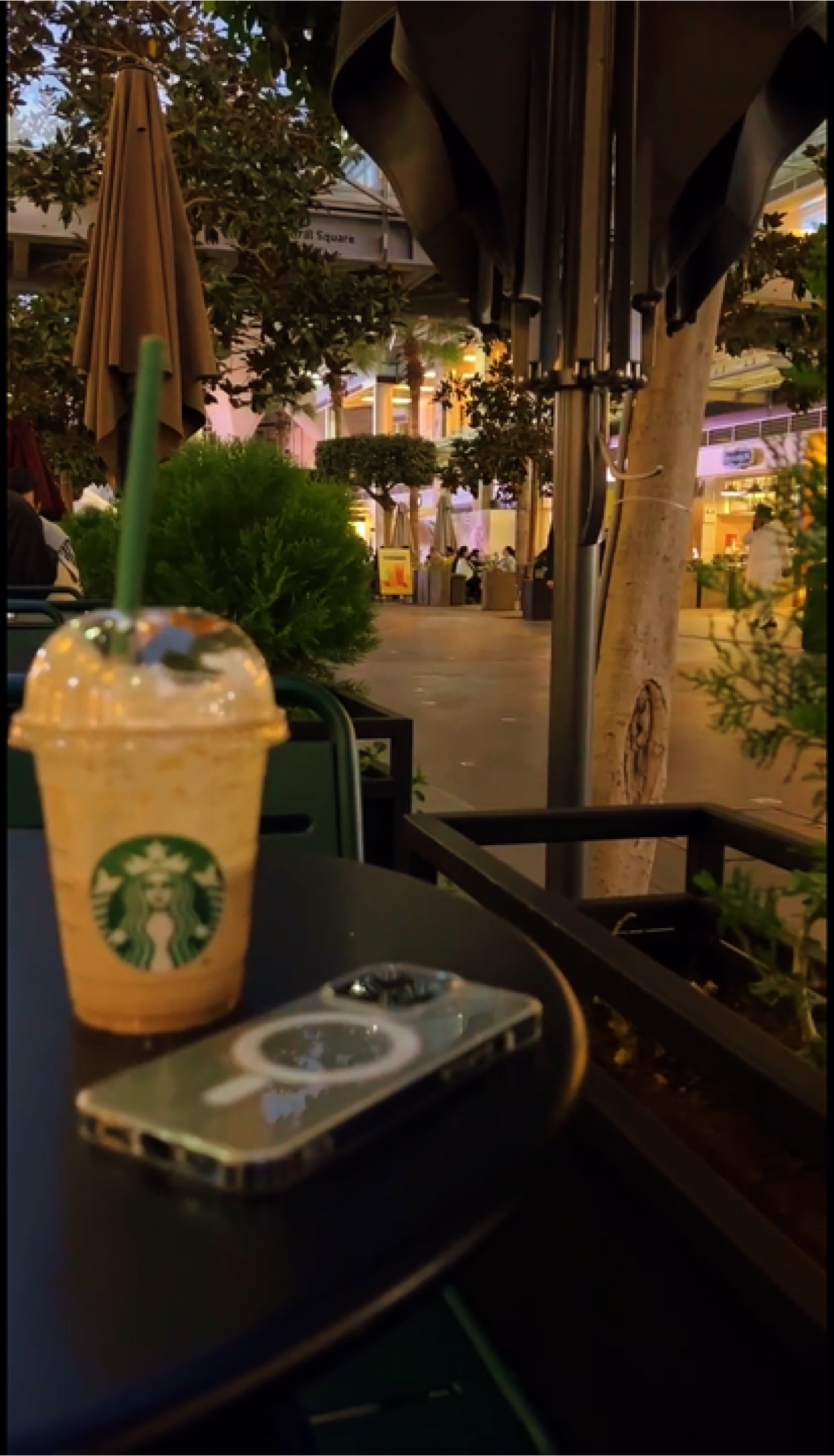 New Templates 2025 