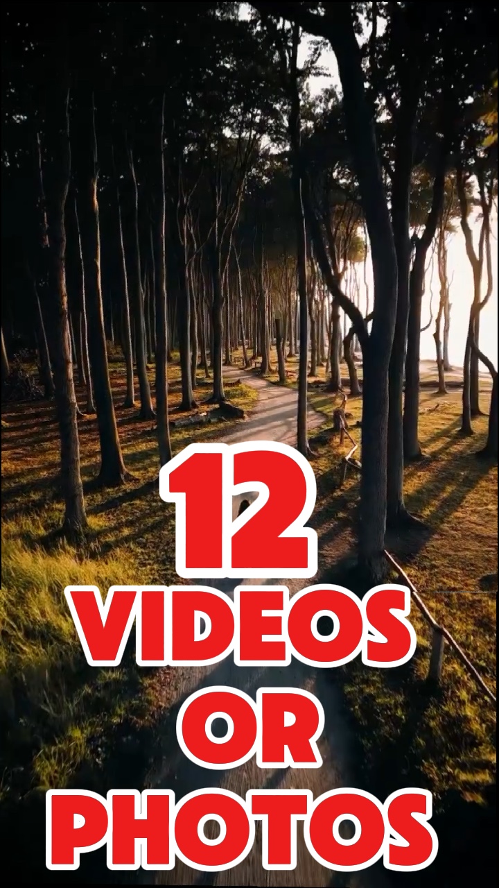 12 videos o fotos 