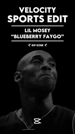 Blueberry Faygoπ«