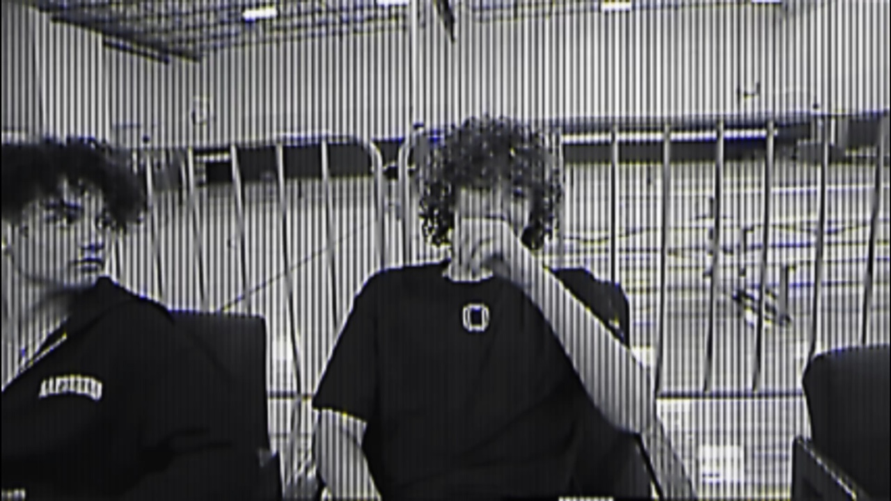 Nelson🤩