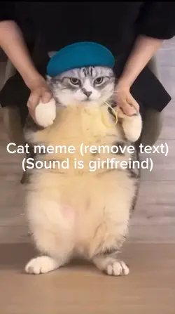 Cat dancing meme