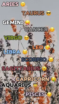 Most likely 2 zodiac