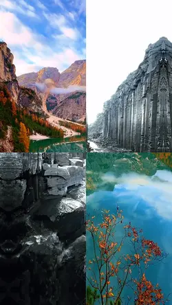 12 video/ photo