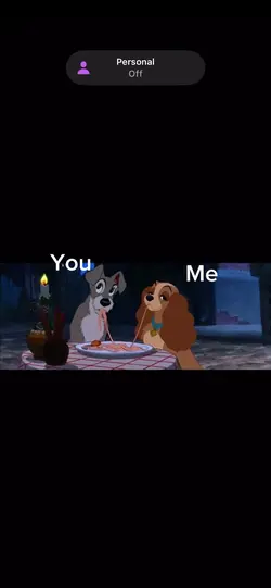 Lady and the tramp 🫶