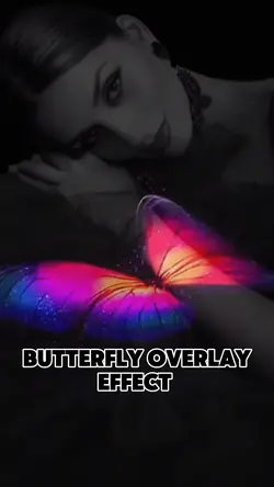 Butterfly effect