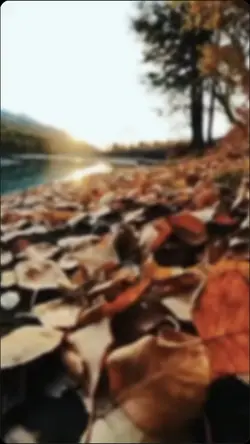 transição viral 3D