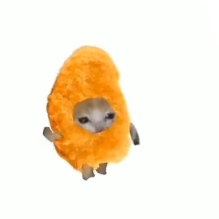 Gato pepita