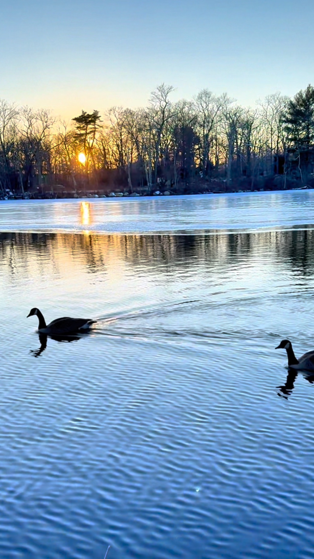 Natures life