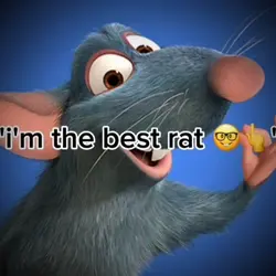 Best Rat