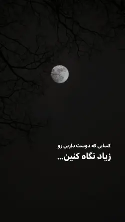 شاید نباشین