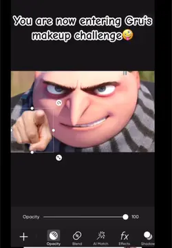 Gru’s make up 