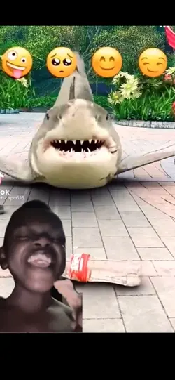 Shark face!🦈