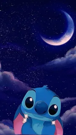 Stitch Ohana  🌺