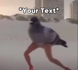 Bird Dancing Meme