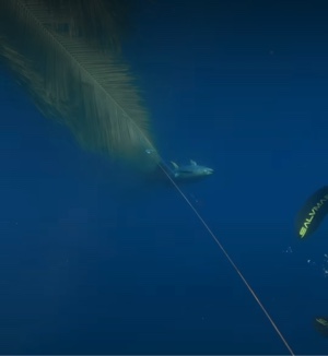 Serangan Marlin 