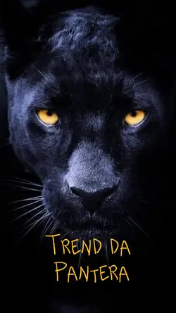 Trend Pantera