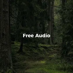 Free Audio🐦‍⬛