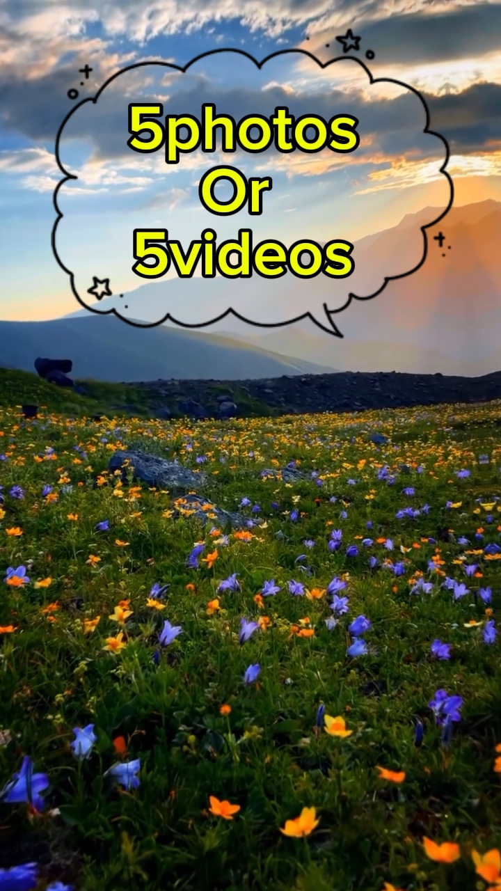 5photos / vidéos