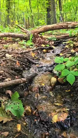 Hiking Ashland