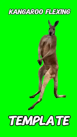 Kangaroo flexing