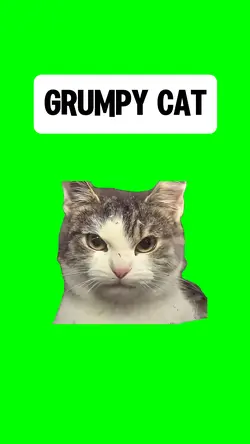 GRUMPY CAT