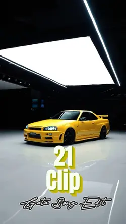 21 Clip Gata Edit 