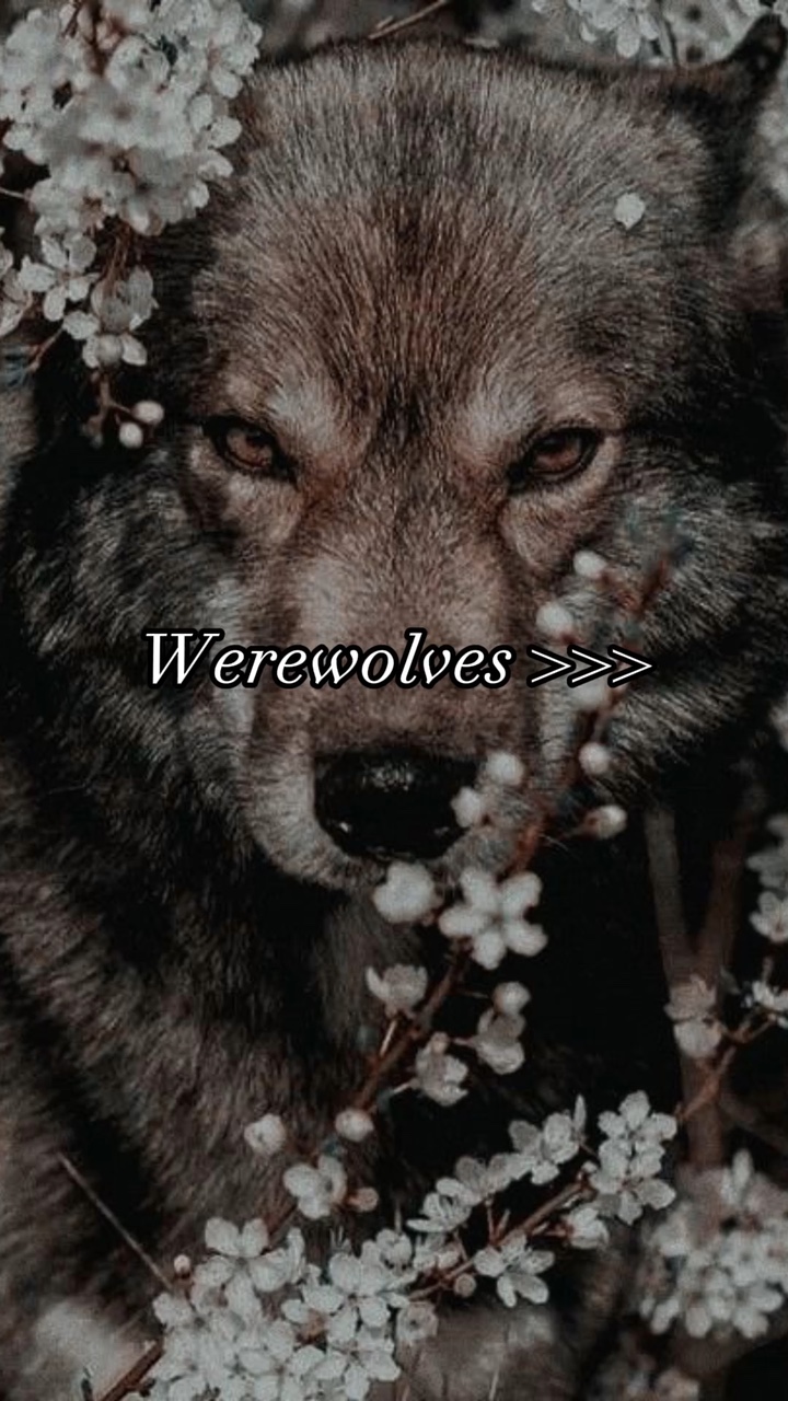 Esthétique des loups-garous