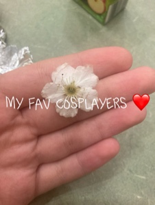 Cover Picture