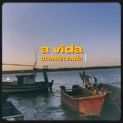 A vida acontecendo