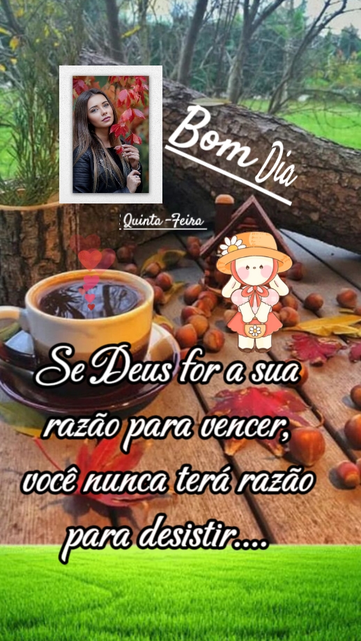 Status do dia 