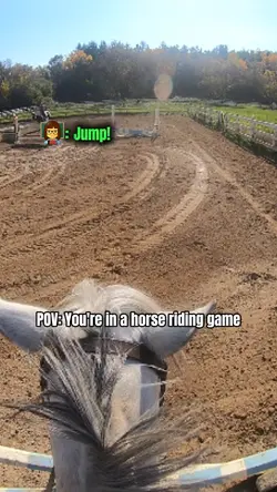 POV: horse game