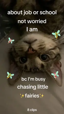 ✨Chasing fairies✨