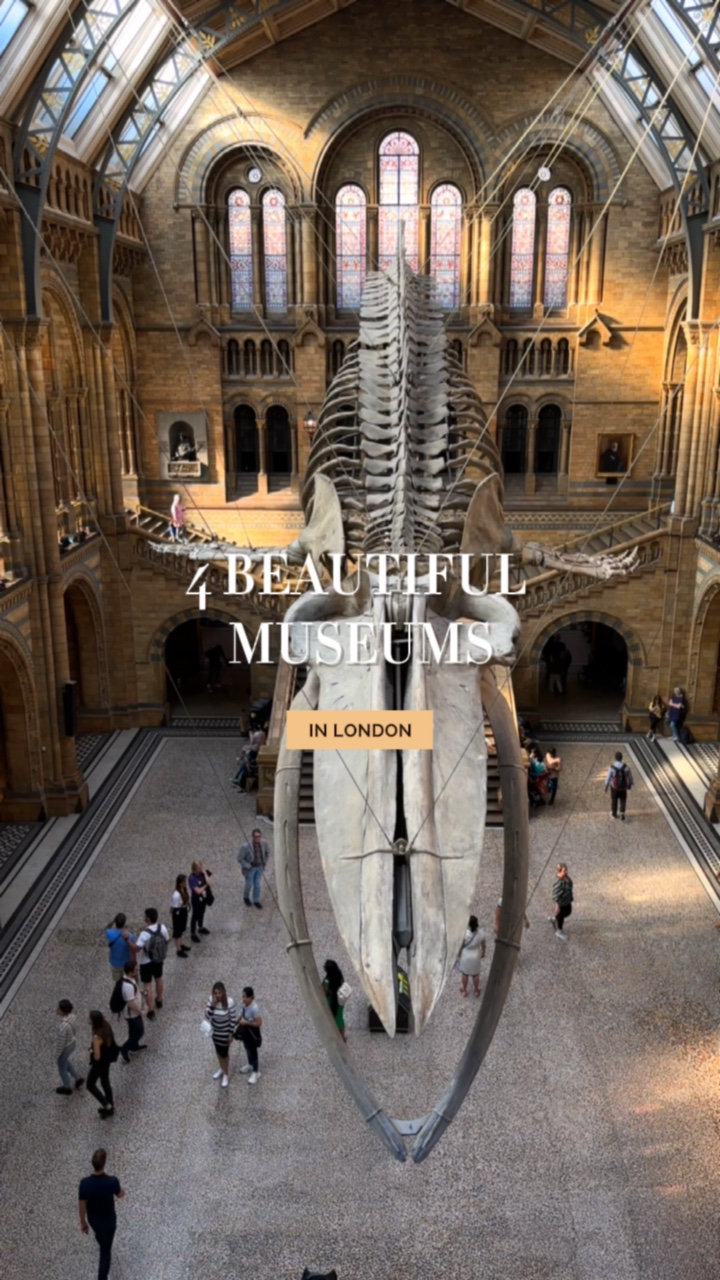 Visite du musée 