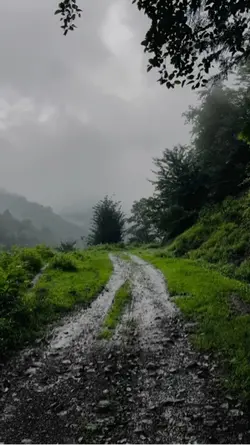 یک روزی باران میبارد