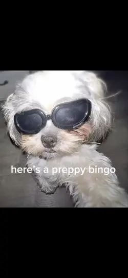 preppy bingo