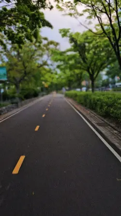 Transition
