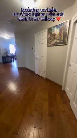Hallway Deco
